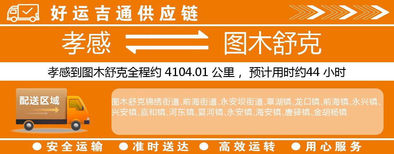 孝感到图木舒克物流专线-孝感至图木舒克货运公司