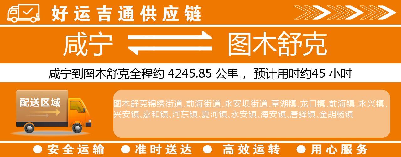 咸宁到图木舒克物流专线-咸宁至图木舒克货运公司