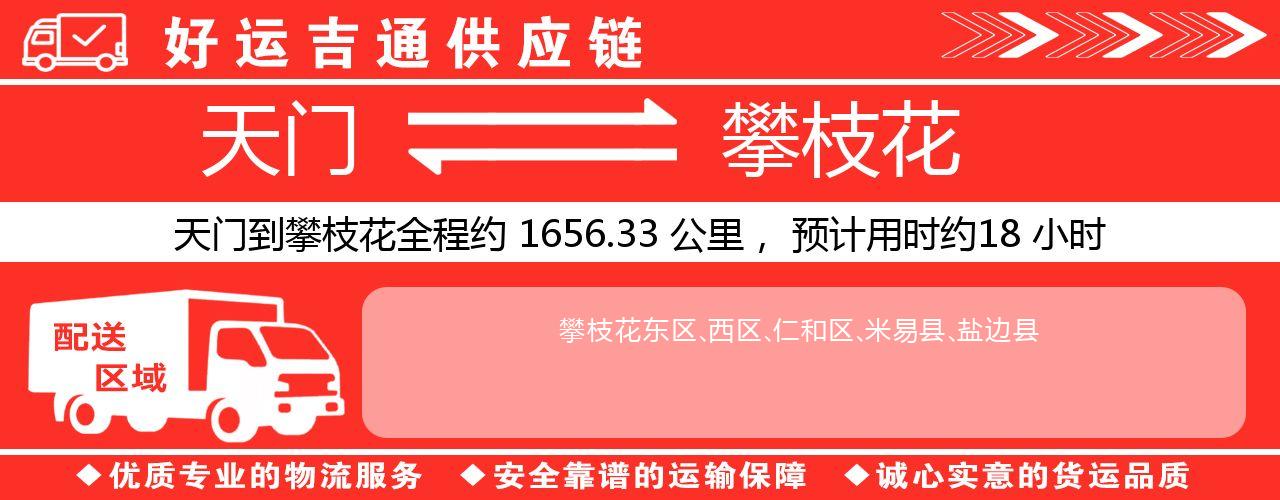 天门到攀枝花物流专线-天门至攀枝花货运公司