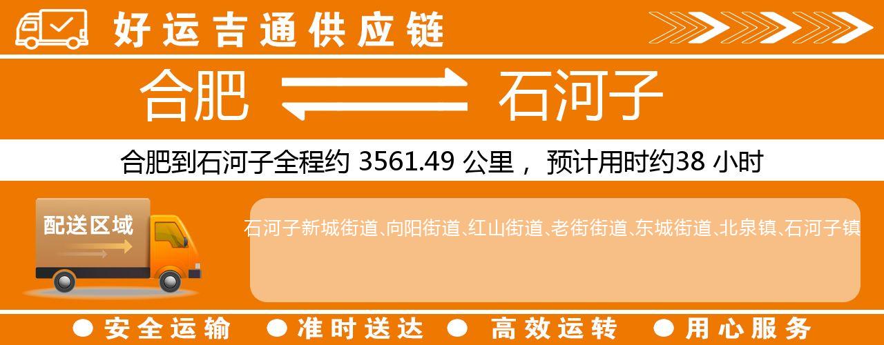合肥到石河子物流专线-合肥至石河子货运公司