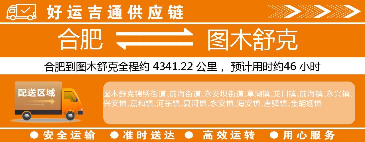合肥到图木舒克物流专线-合肥至图木舒克货运公司