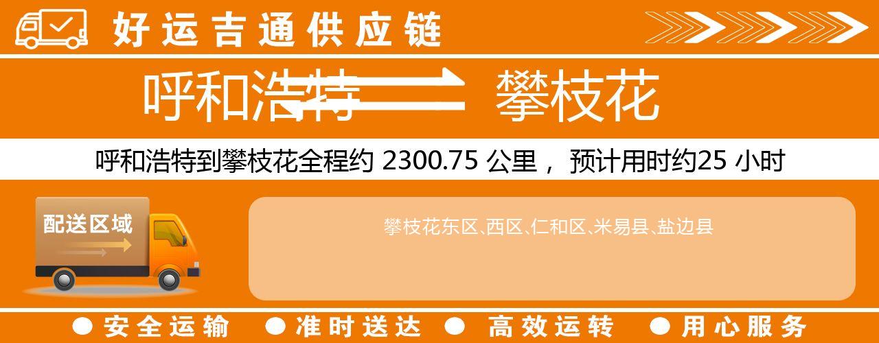 呼和浩特到攀枝花物流专线-呼和浩特至攀枝花货运公司