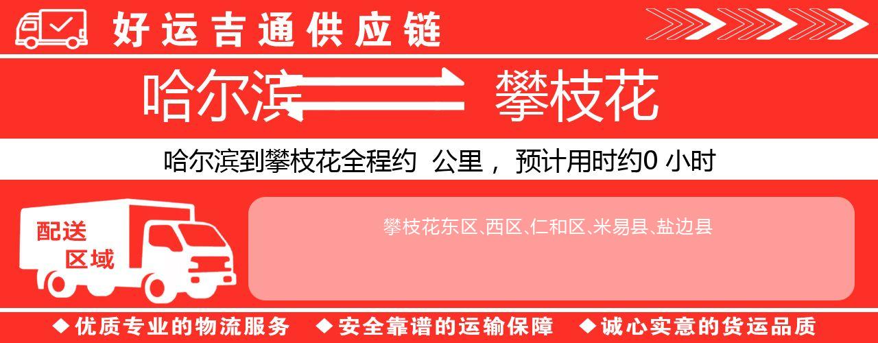 哈尔滨到攀枝花物流专线-哈尔滨至攀枝花货运公司