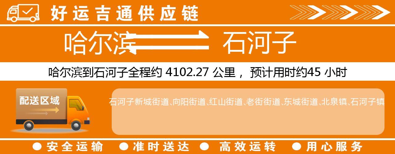 哈尔滨到石河子物流专线-哈尔滨至石河子货运公司