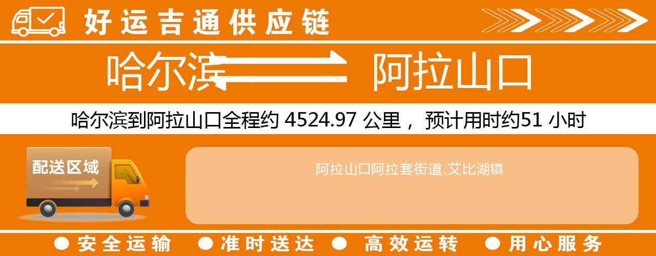 哈尔滨到阿拉山口物流专线-哈尔滨至阿拉山口货运公司